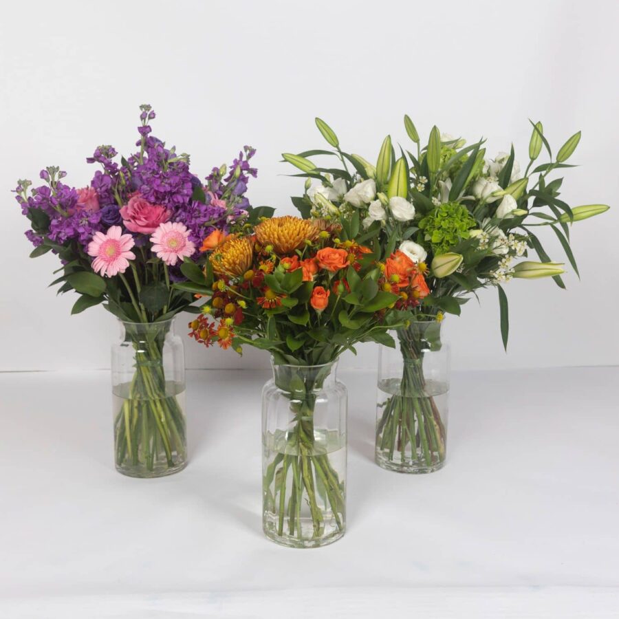 Extra Gorgeous Subscription