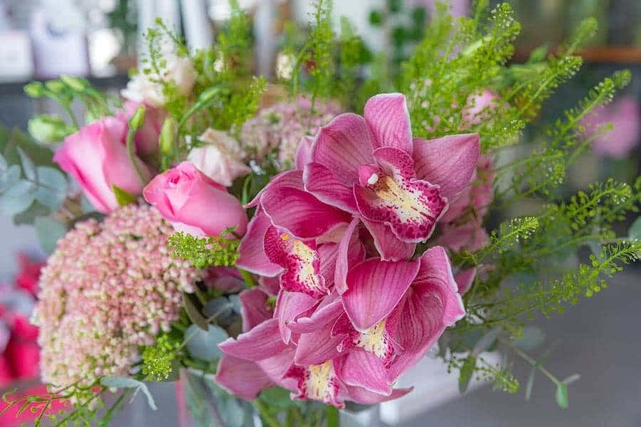 Close up photo of a pink flower