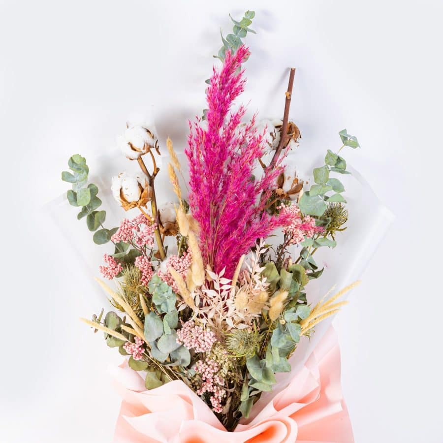 Pink Pampas & Cotton