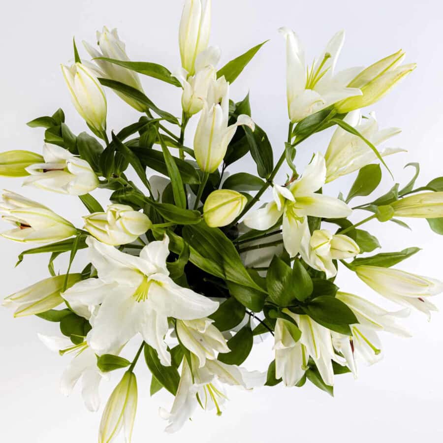 White Coast with Lilies