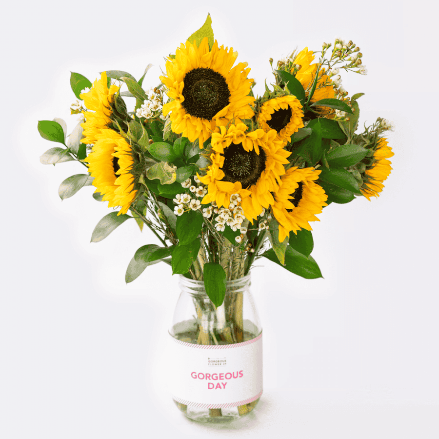 Gorgeous Day Sunflowers - Gorgeous Teacher