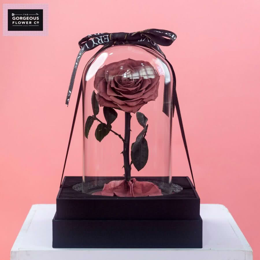 Pink Infinity Single Rose - Vintage Pink