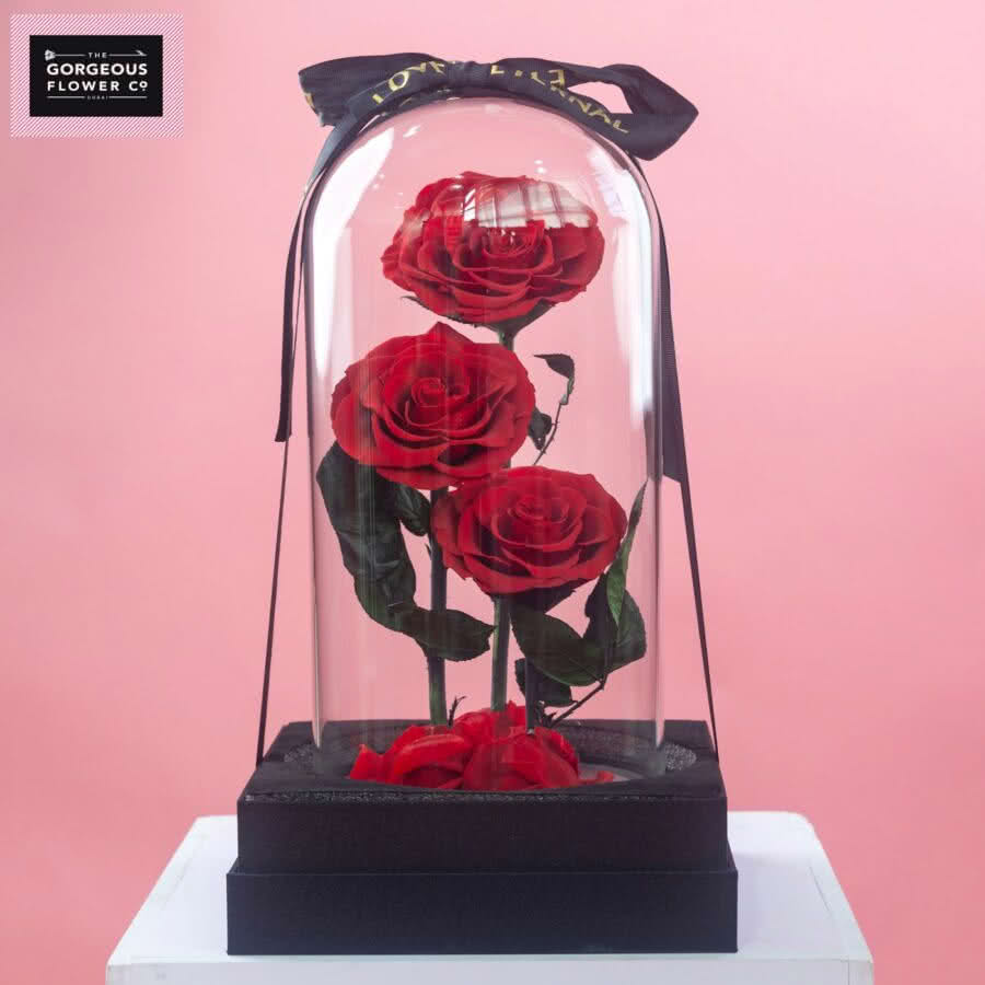 Red Infinity Rose Trio