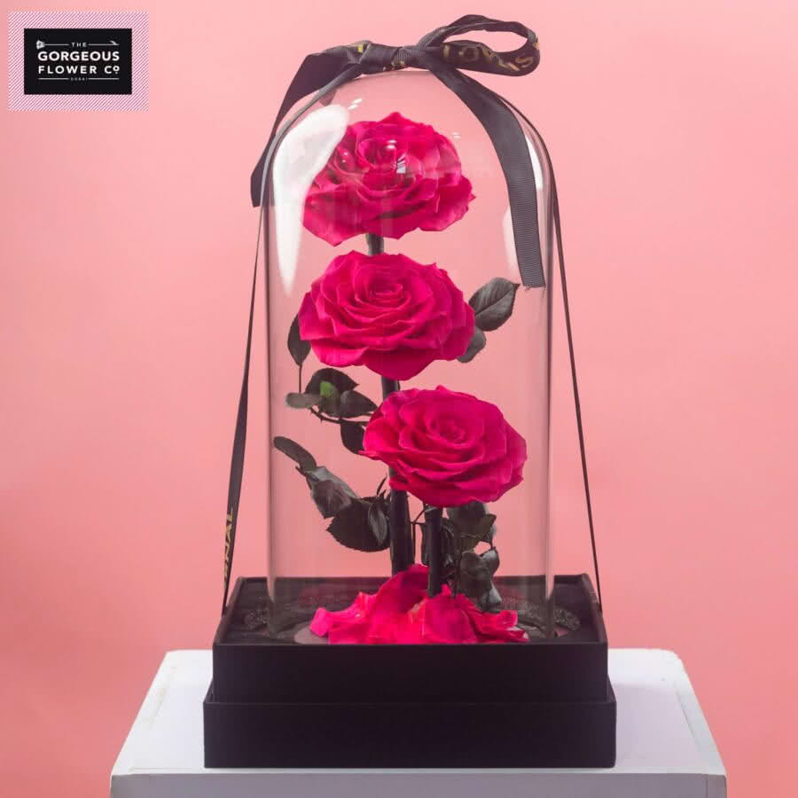 Pink Infinity Rose Trio