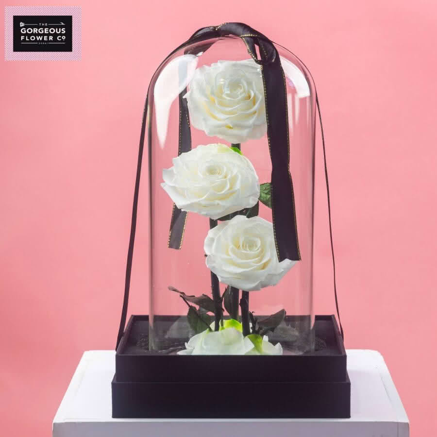 White Infinity Rose Trio