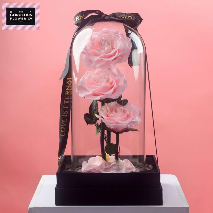 Baby Pink Infinity Rose Trio
