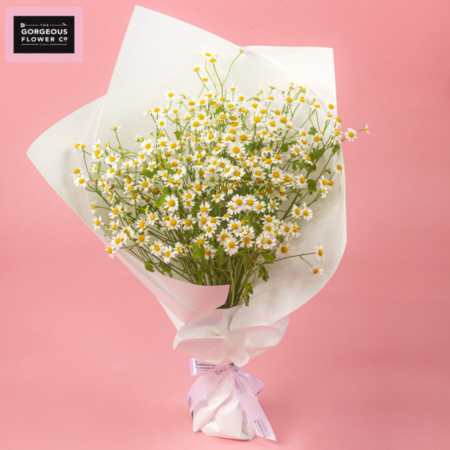 Golden Haze with Tanacetum - Gorgeous