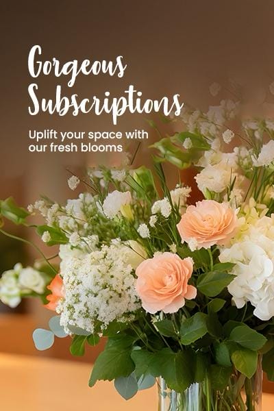 gorgeous-subscription